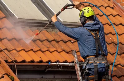 Démoussage et hydrofuge de toiture à Niozelles